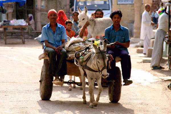 Transportmittel Indien bilder